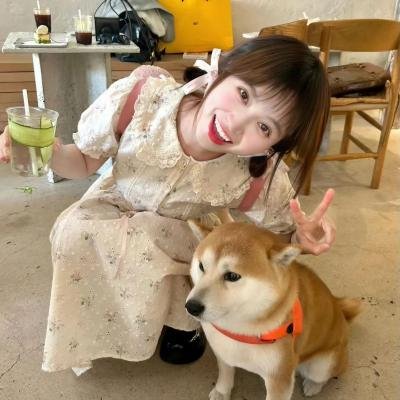 恶狼年代